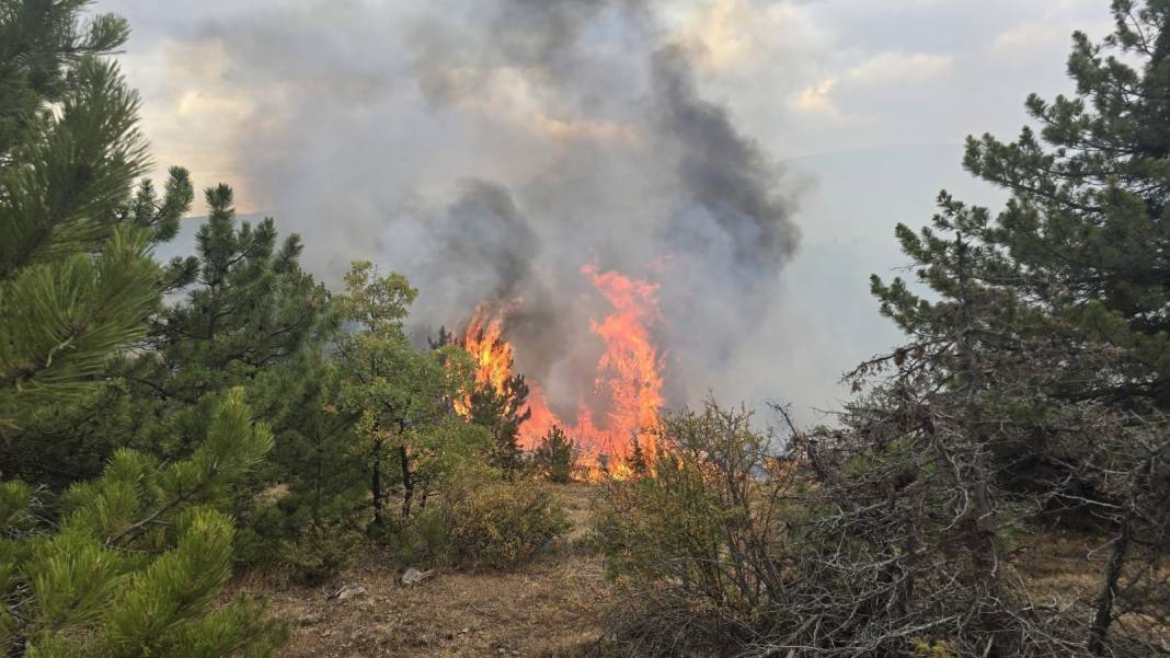 Konya Derbent’te orman yangını çıktı 13